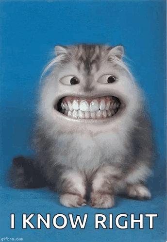 Smile Big Smile GIF