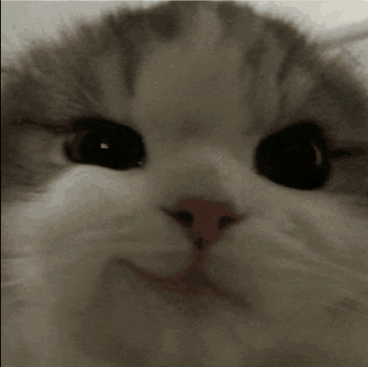 Smile Cat Meme