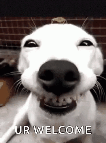 Smile GIF
