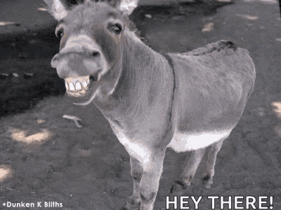 Smile Teeth GIF