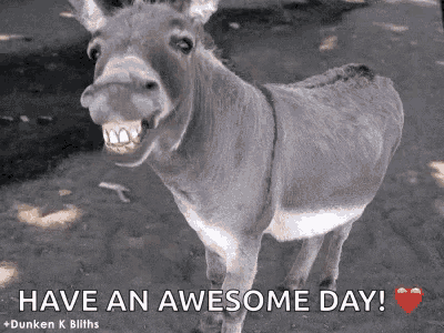 Smile Teeth GIF