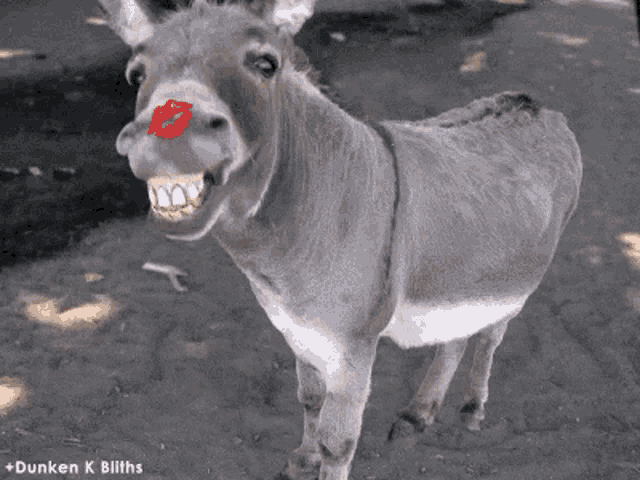 Smile Teeth GIF