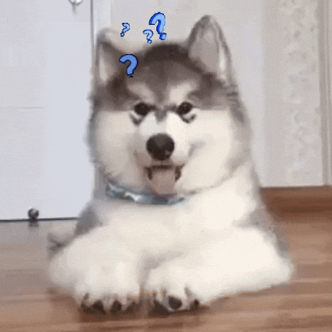 Smile Waiting GIF