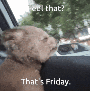 Smiling Dog Abbieququ GIF