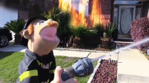Sml Brooklyn Guy GIF
