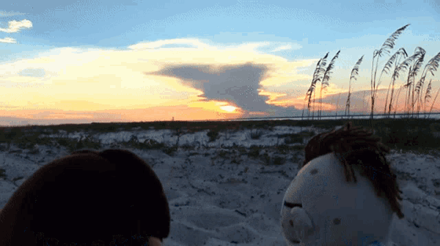 Sml Cody GIF
