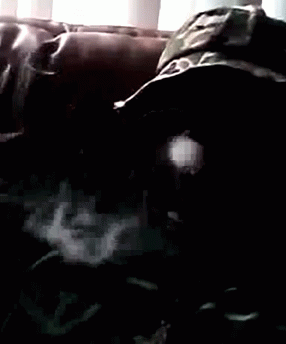Smoke Rings GIF. This 286 x 344 animated GIF is part of our hooah collection. Related themes include smoke. View the original animation, share it, or browse…