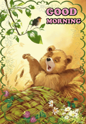Smokey The Bear GIF