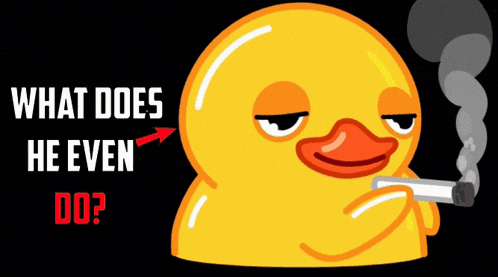 Smoking Duck Dj Khaled GIF