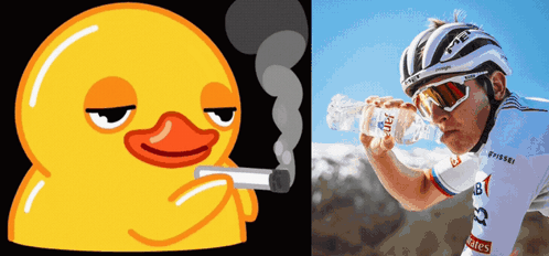 Smoking Duck Tadej GIF. This 498 x 232 animated GIF is part of our rolling a blunt collection. Created by letrasetE4. View the original animation, share it…
