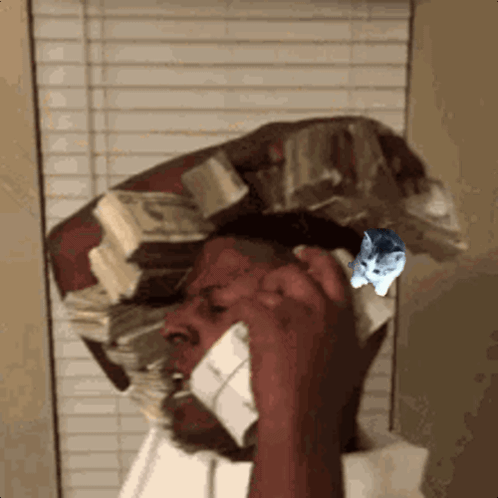 Smol Smolcat GIF