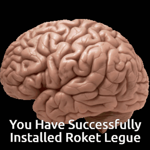 Smooth Brain Roket Legue GIF
