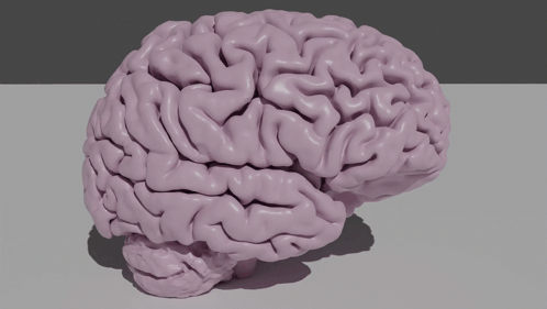 Smooth Brain GIF
