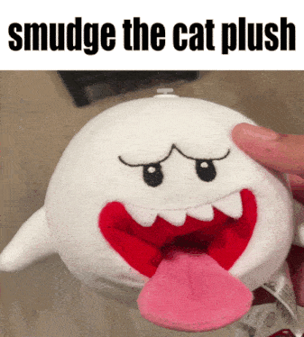 Smudge The Cat Boo GIF