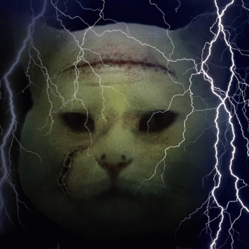 Smudge Zombie GIF. This 498 x 498 animated GIF is part of our lustiges gewitter collection. Related themes include lightning, zombie. Created by RogueWolf…