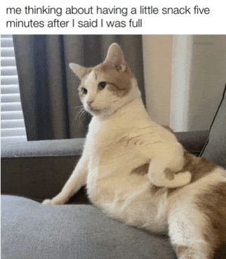 Snack Kitty Something Sweet Meme