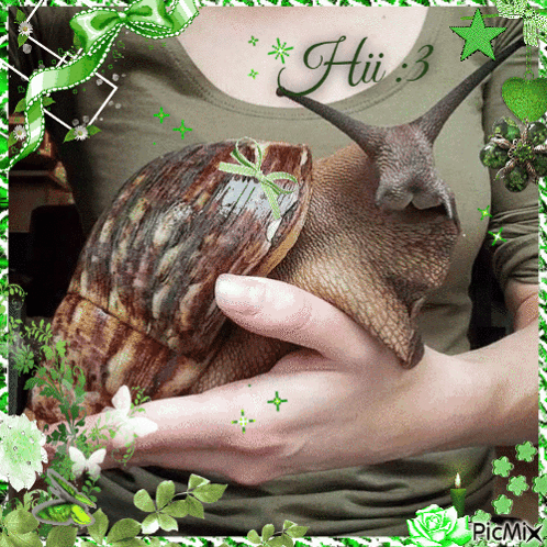 Snail Hi GIF