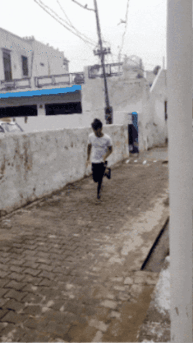 Snake Chase GIF. This 281 x 498 animated GIF is part of our snake collection. Created by Deathpand123. View the original animation, share it, or browse…