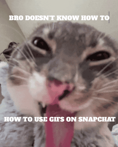 Snapchat GIF