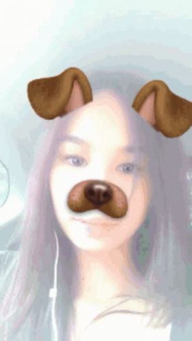 Snappy Filter GIF. This 281 x 498 animated GIF is part of our simpsons suspicious dog collection. Related themes include smile. Created by Niakim. View the…