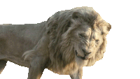 Snarling Kiros Sticker