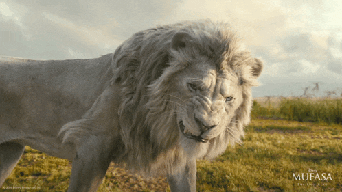 Snarling Kiros GIF