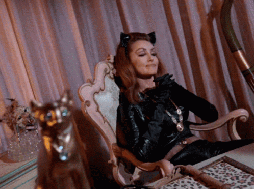 Snart Catwoman GIF