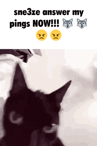 Sne3ze Blood Debt GIF