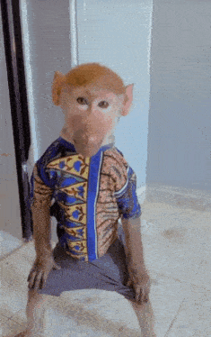 Sniffer Monkey GIF