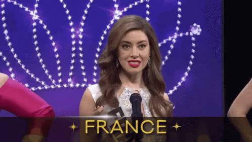 Snl France GIF