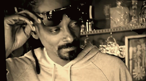 Snoop Dealwithit GIF. This 498 x 278 animated GIF is part of our snoop dogg mlg collection. View the original animation, share it, or browse related GIFs.
