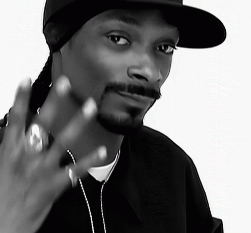 Snoop Dogg Drop It Like Its Hot GIF