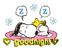 Snoopy Cat Sticker