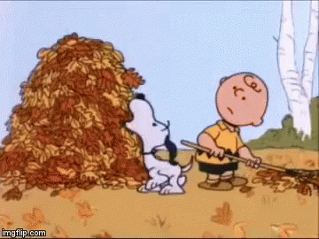 Snoopy Charlie Brown GIF. This 360 x 270 animated GIF is part of our folhas de outono caindo collection. Related themes include candy, snoopy. Created by…