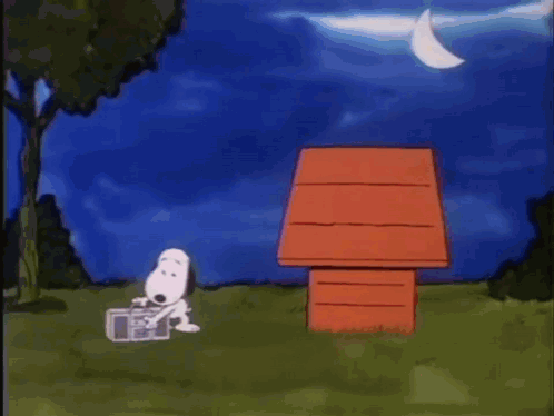 Snoopy Its Flashbeagle Charlie Brown GIF