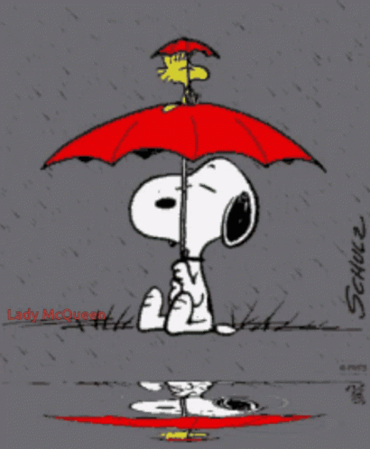 Snoopy Raining GIF