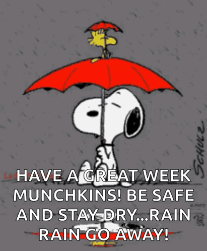 Snoopy Raining GIF