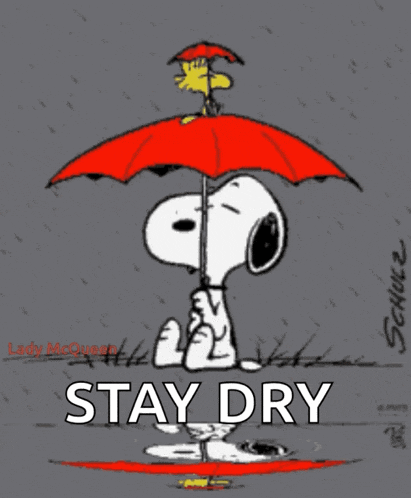 Snoopy Raining GIF
