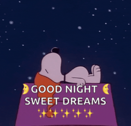 Snoopy Sleepy Meme