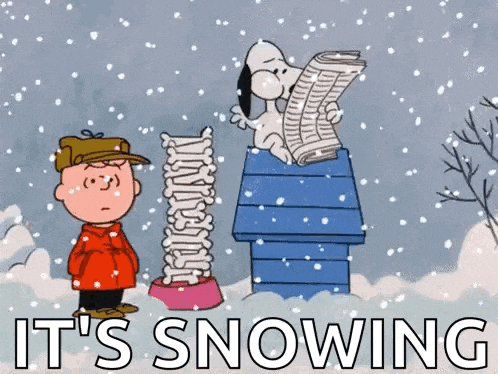Snoopy Snoopy And Charlie Brown GIF