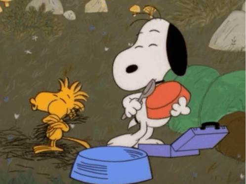 Snoopy Woodstock GIF