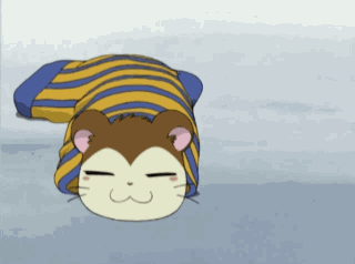 Snoozer GIF