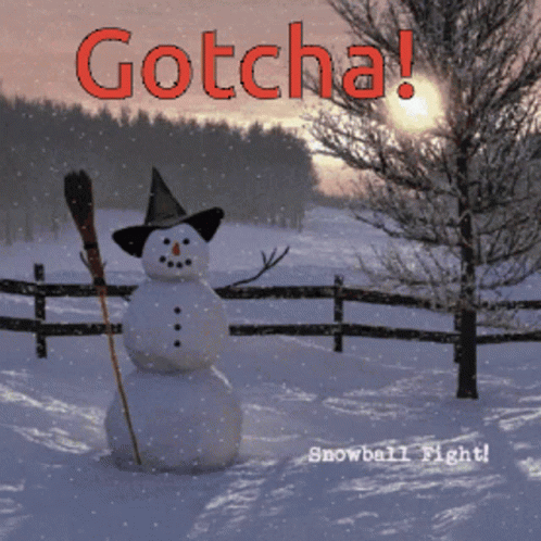 Snow Ball Fight Snow GIF