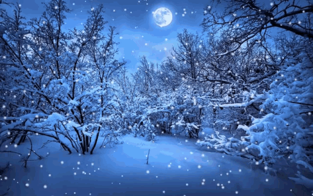 Snow Blowing Winter GIF