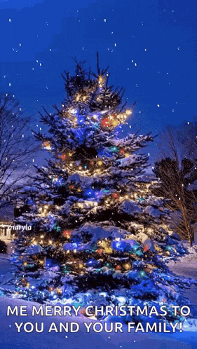 Snow Christmastree GIF