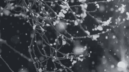 Snow Flake Falling GIF