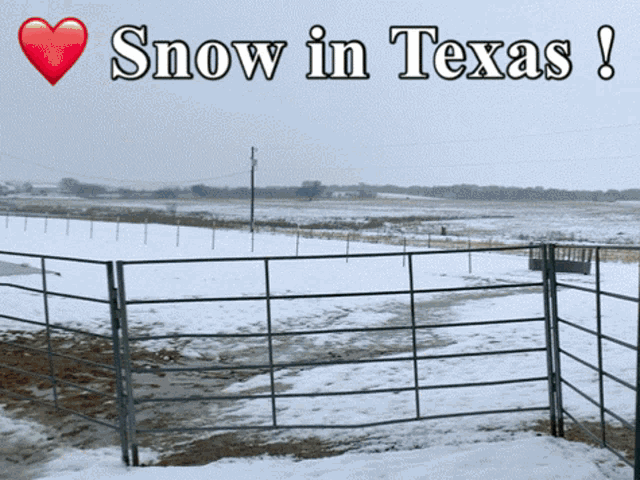Snow In GIF