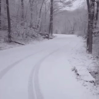 Snow Run GIF