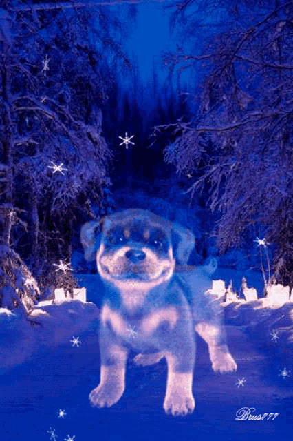 Snow Snowflakes GIF
