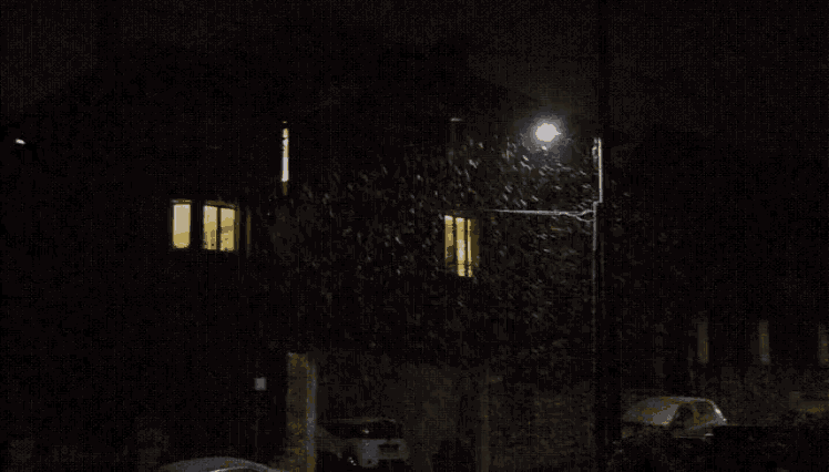 Snow Snowing GIF